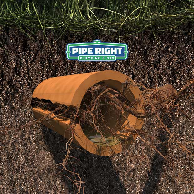 General Plumbing Services