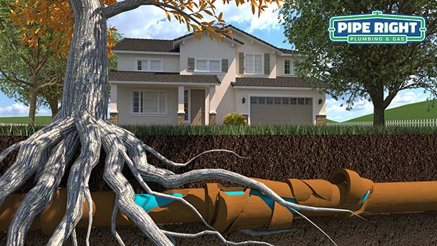 Water Line Repair